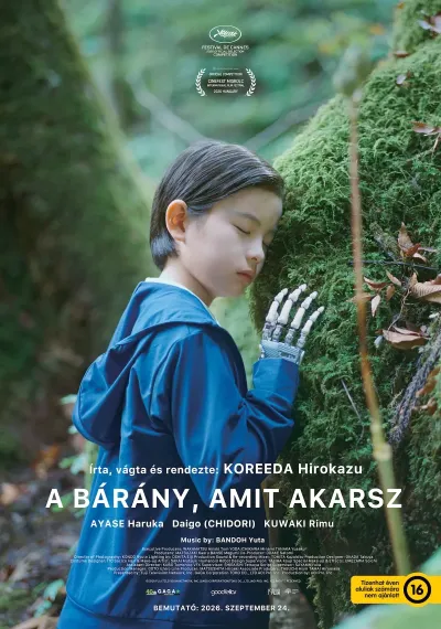 A bárány, amit akarsz poszter